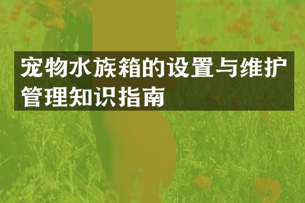 宠物水族箱的设置与维护管理知识指南