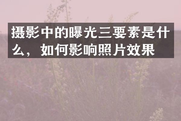 摄影中的曝光三要素是什么，如何影响照片效果？