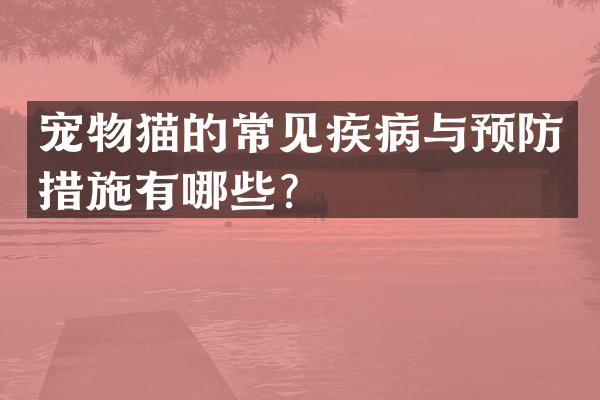宠物猫的常见疾病与预防措施有哪些？
