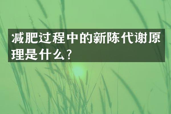 减肥过程中的新陈代谢原理是什么？