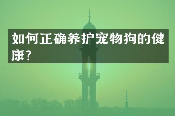 如何正确养护宠物狗的健康？
