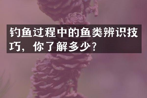 钓鱼过程中的鱼类辨识技巧，你了解多少？