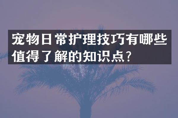 宠物日常护理技巧有哪些值得了解的知识点？
