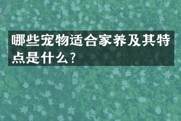 哪些宠物适合家养及其特点是什么？