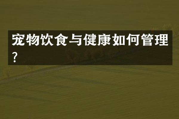 宠物饮食与健康如何管理？