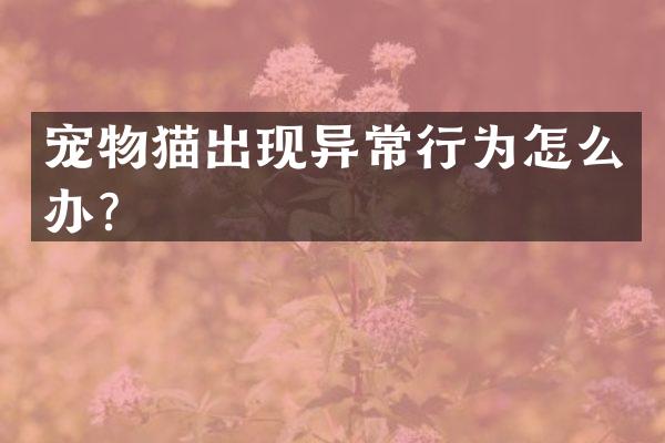 宠物猫出现异常行为怎么办？