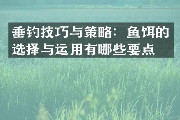 垂钓技巧与策略：鱼饵的选择与运用有哪些要点？