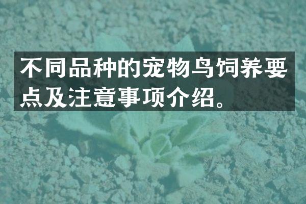 不同品种的宠物鸟饲养要点及注意事项介绍。
