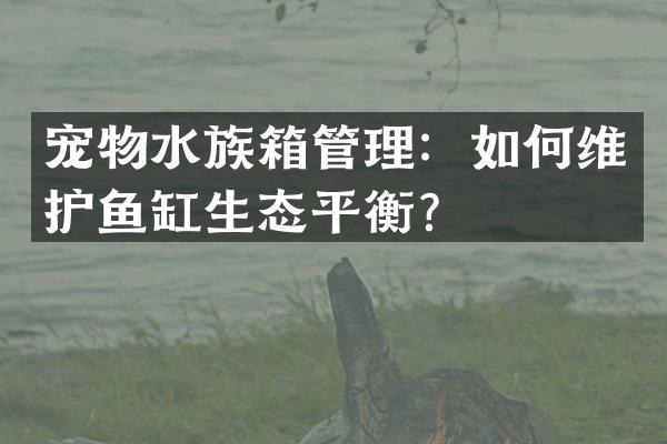 宠物水族箱管理：如何维护鱼缸生态平衡？