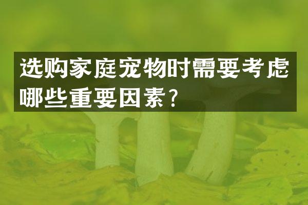 选购家庭宠物时需要考虑哪些重要因素？