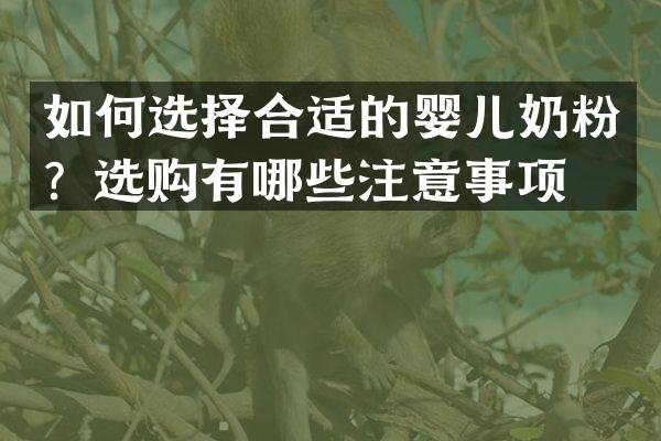 如何选择合适的婴儿奶粉？选购有哪些注意事项？