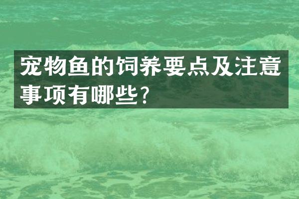 宠物鱼的饲养要点及注意事项有哪些？