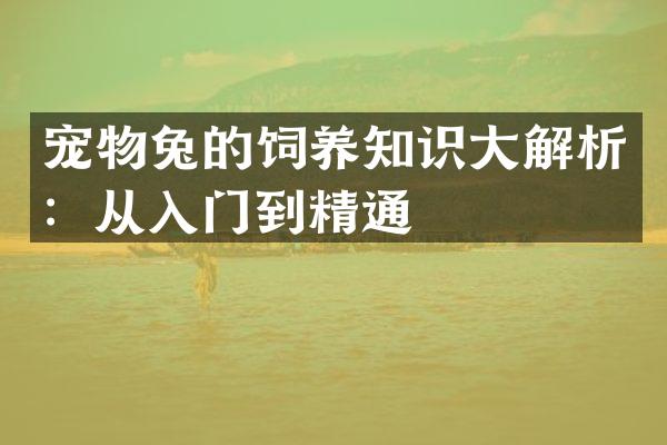 宠物兔的饲养知识大解析：从入门到精通