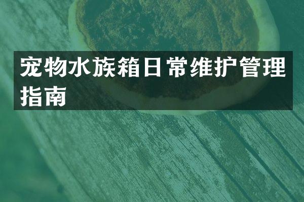 宠物水族箱日常维护管理指南