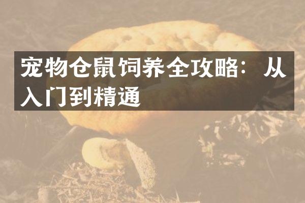 宠物仓鼠饲养全攻略：从入门到精通