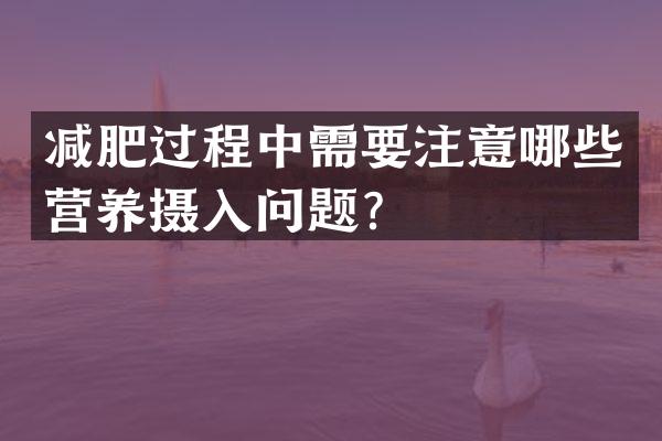 减肥过程中需要注意哪些营养摄入问题？