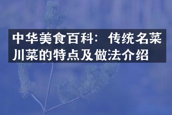 中华美食百科：传统名菜川菜的特点及做法介绍