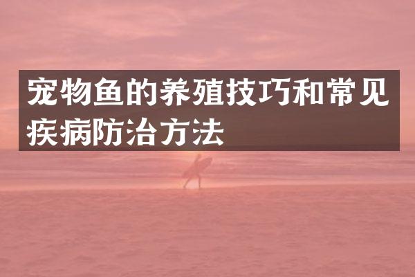 宠物鱼的养殖技巧和常见疾病防治方法
