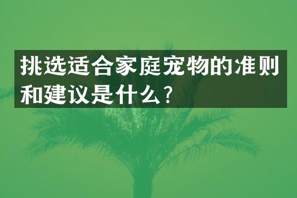 挑选适合家庭宠物的准则和建议是什么？