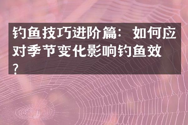 钓鱼技巧进阶篇：如何应对季节变化影响钓鱼效果？