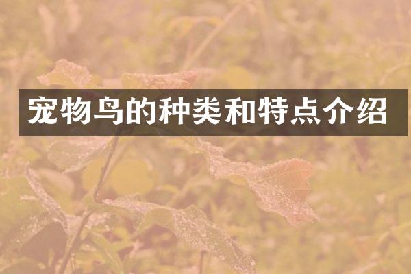 宠物鸟的种类和特点介绍