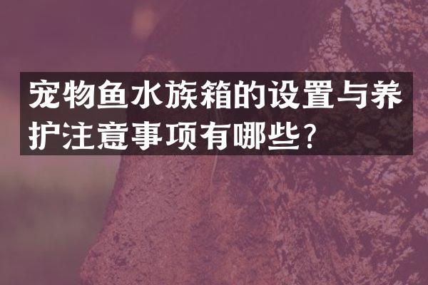 宠物鱼水族箱的设置与养护注意事项有哪些？