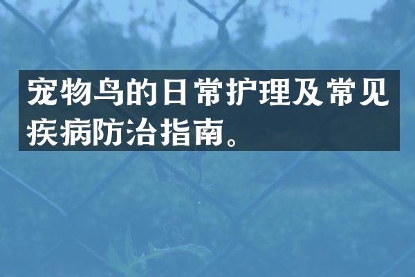 宠物鸟的日常护理及常见疾病防治指南。
