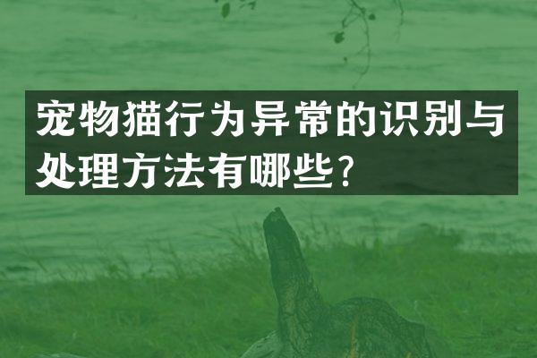 宠物猫行为异常的识别与处理方法有哪些？