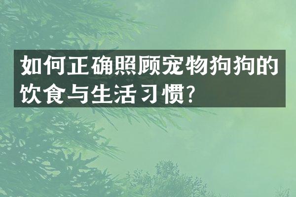 如何正确照顾宠物狗狗的饮食与生活习惯？