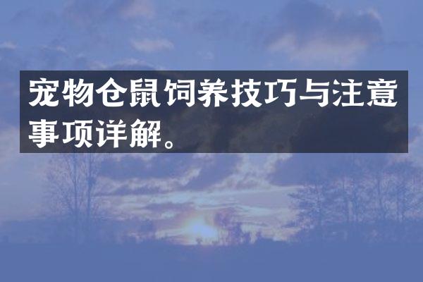 宠物仓鼠饲养技巧与注意事项详解。