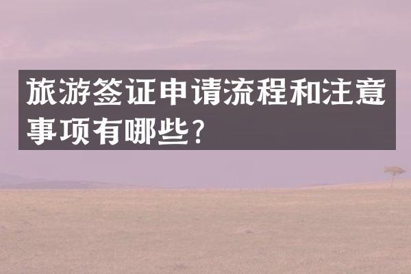 旅游签证申请流程和注意事项有哪些？