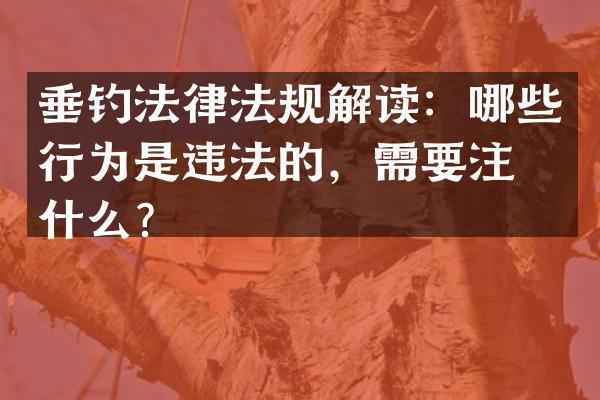 垂钓法律法规解读：哪些行为是违法的，需要注意什么？