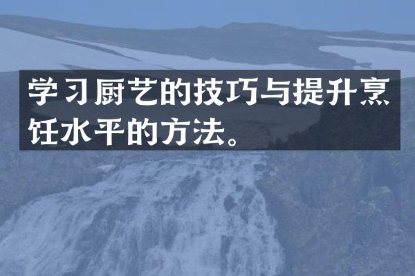 学习厨艺的技巧与提升烹饪水平的方法。