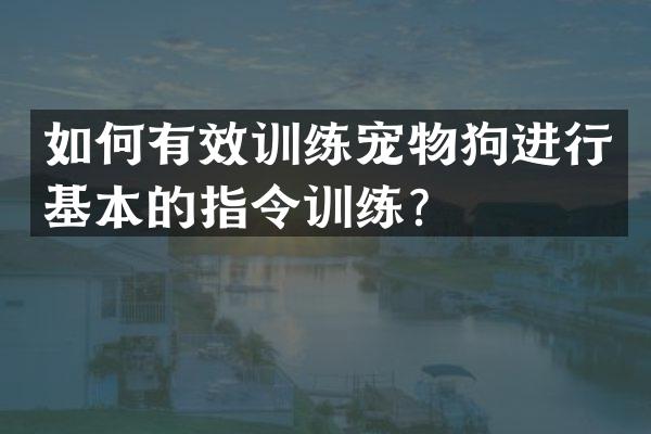 如何有效训练宠物狗进行基本的指令训练？