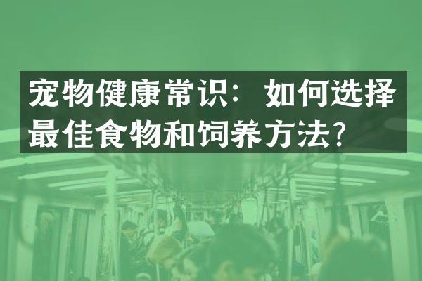 宠物健康常识：如何选择最佳食物和饲养方法？