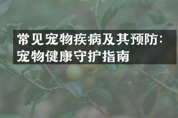 常见宠物疾病及其预防：宠物健康守护指南