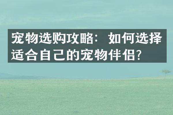 宠物选购攻略：如何选择适合自己的宠物伴侣？