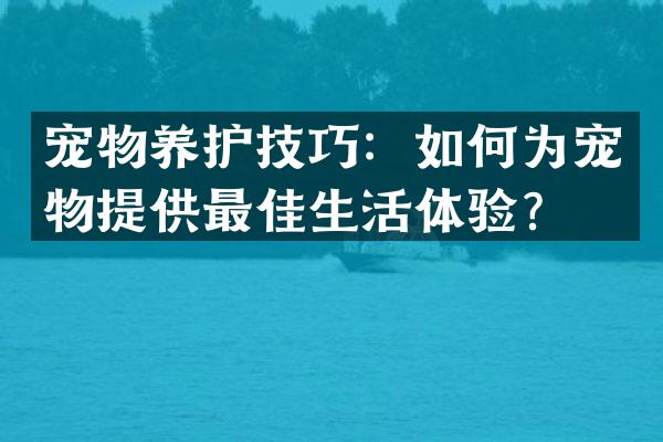 宠物养护技巧：如何为宠物提供最佳生活体验？