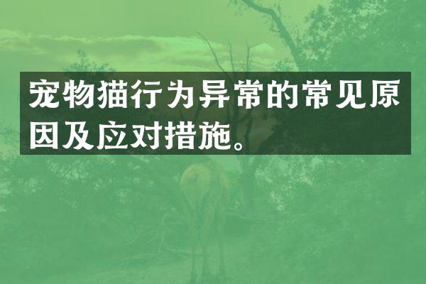宠物猫行为异常的常见原因及应对措施。