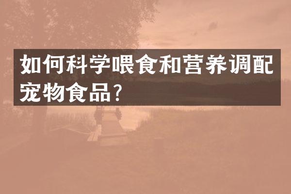 如何科学喂食和营养调配宠物食品？