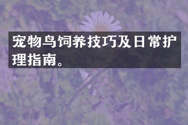 宠物鸟饲养技巧及日常护理指南。