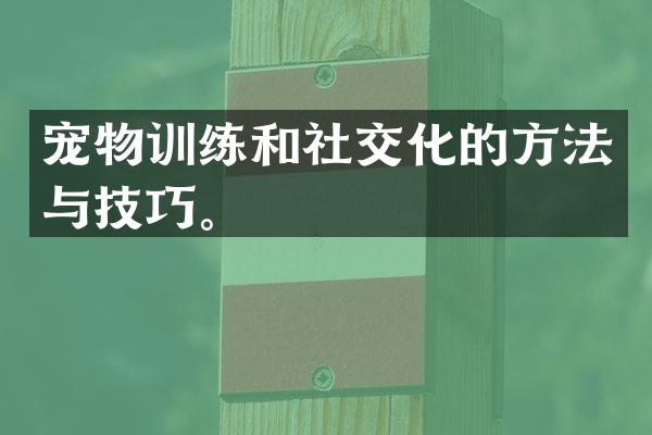 宠物训练和社交化的方法与技巧。