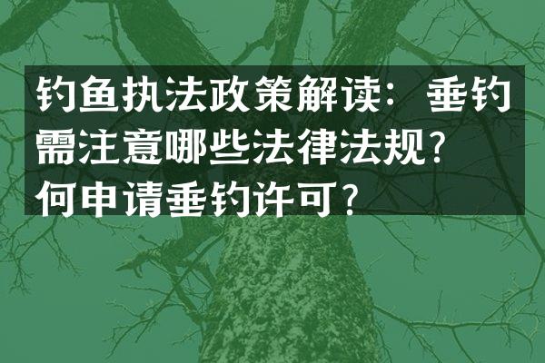 钓鱼执法政策解读：垂钓需注意哪些法律法规？如何申请垂钓许可？