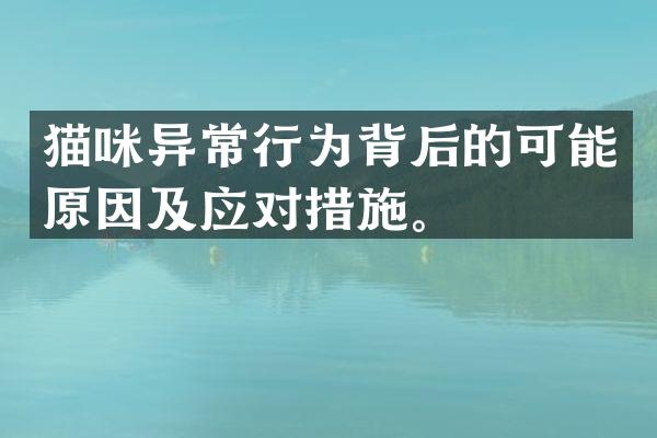 猫咪异常行为背后的可能原因及应对措施。