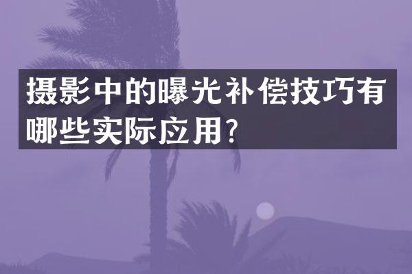 摄影中的曝光补偿技巧有哪些实际应用？
