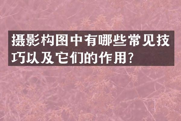摄影构图中有哪些常见技巧以及它们的作用？