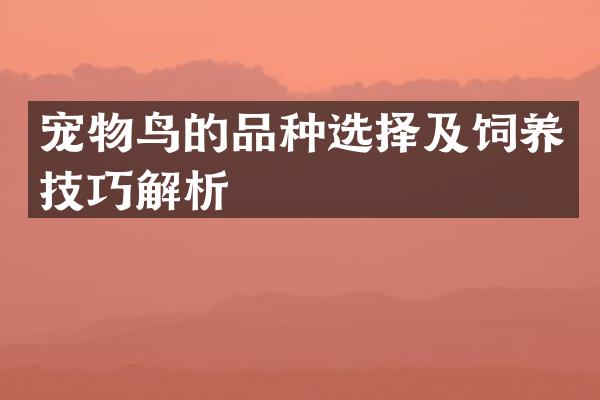 宠物鸟的品种选择及饲养技巧解析