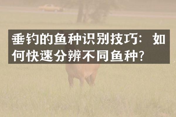 垂钓的鱼种识别技巧：如何快速分辨不同鱼种？