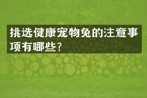 挑选健康宠物兔的注意事项有哪些？