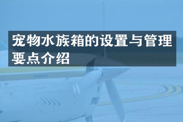宠物水族箱的设置与管理要点介绍